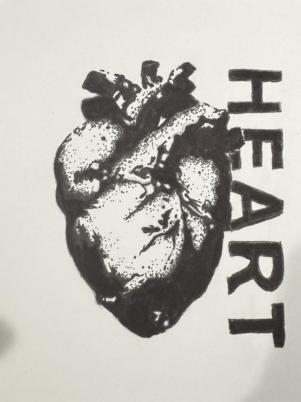 Ink drawing of an anatomical heart, hand-lettered with the word HEART.