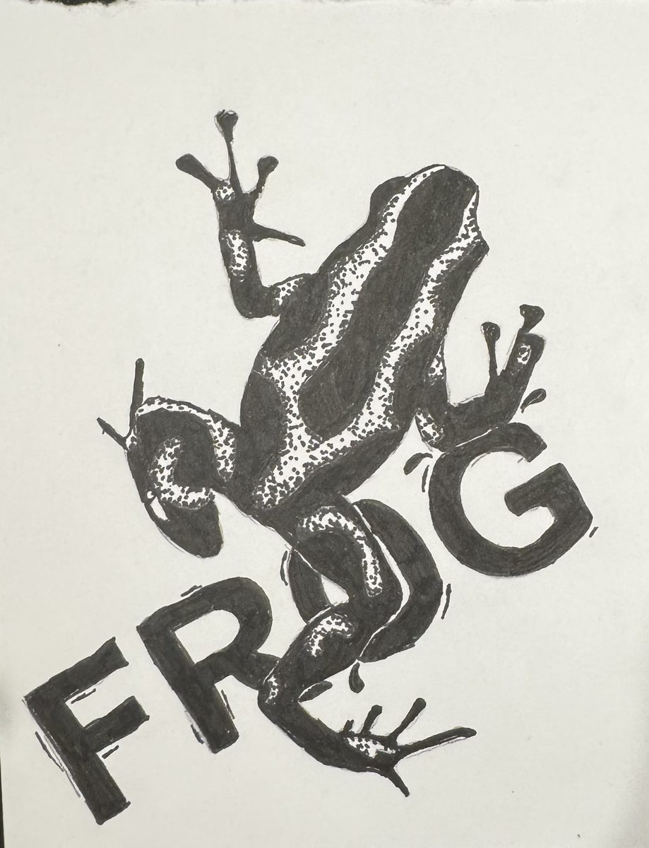 Ink drawing of a frog, hand-lettered with the word FROG.
